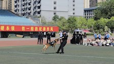 bat365承办南宁市江南区群益小学研学活动