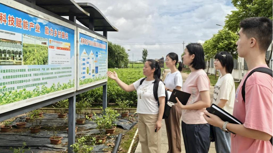 马克思主义学院组织师生赴横州开展实践调研活动