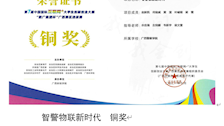 智警物联新时代　铜奖